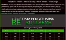 data bullseye